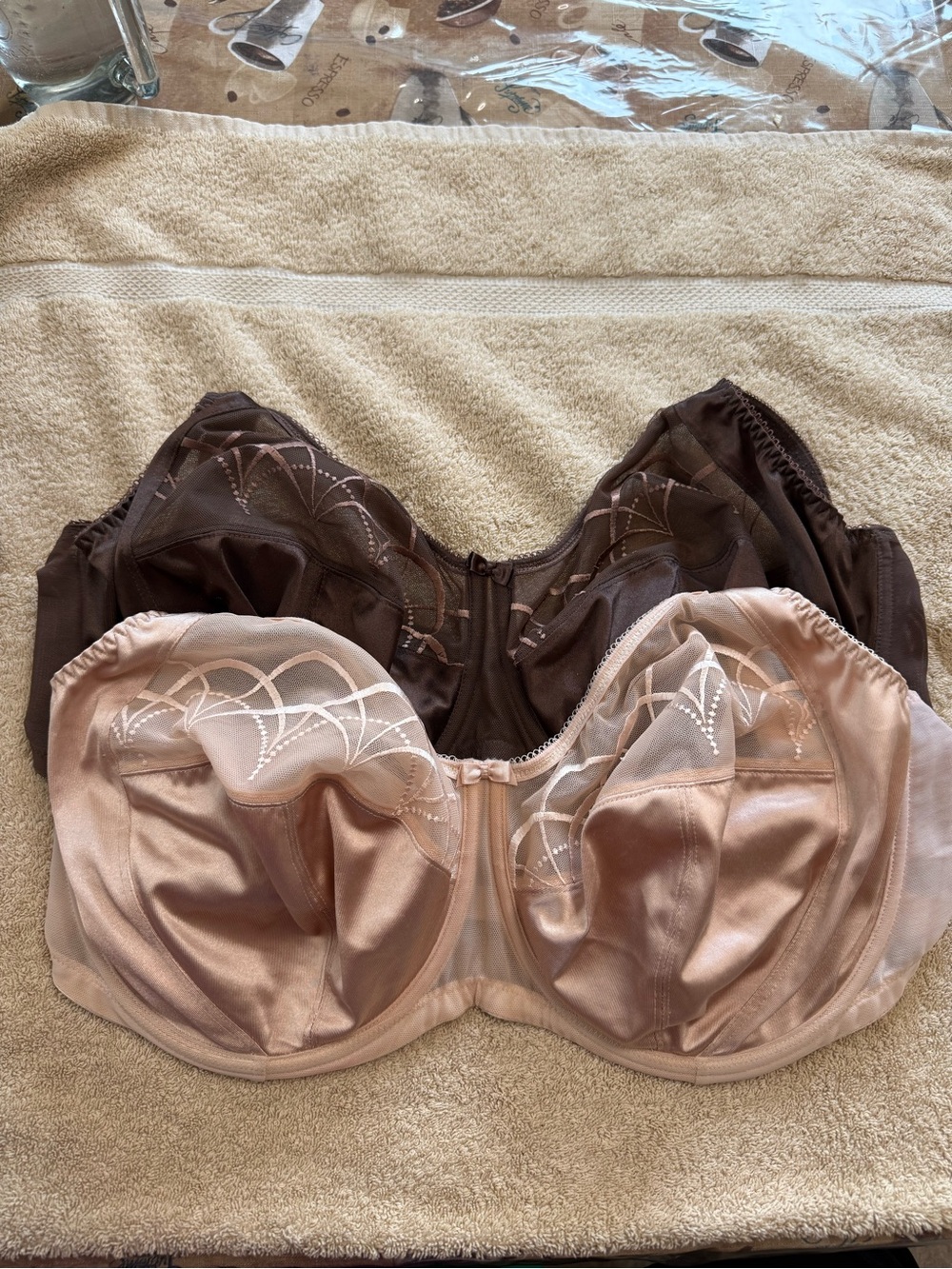 44F Elomi Women 2-Cate beige and brown and black is plunge
